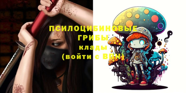 jwh Бородино