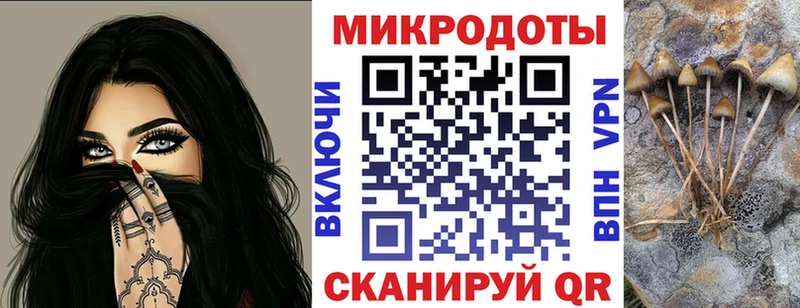 Псилоцибиновые грибы ЛСД  даркнет сайт  Новомичуринск 